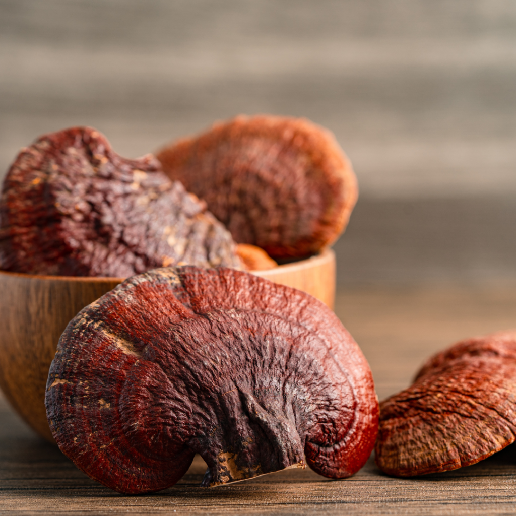 Reishi Mushrooms in a brown bowl on a table