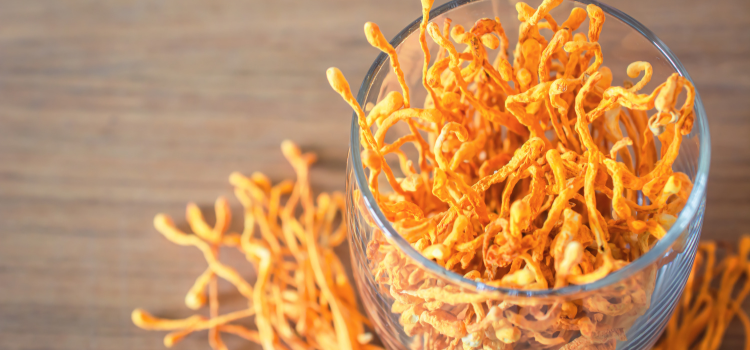 Cordyceps in a glass jar on a wooden table