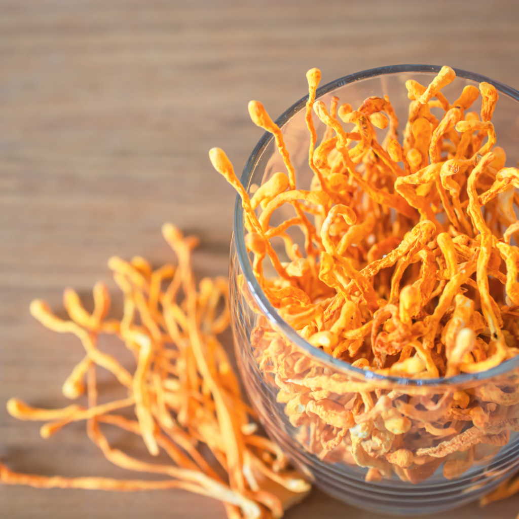 Cordyceps militaris on a table in a glass