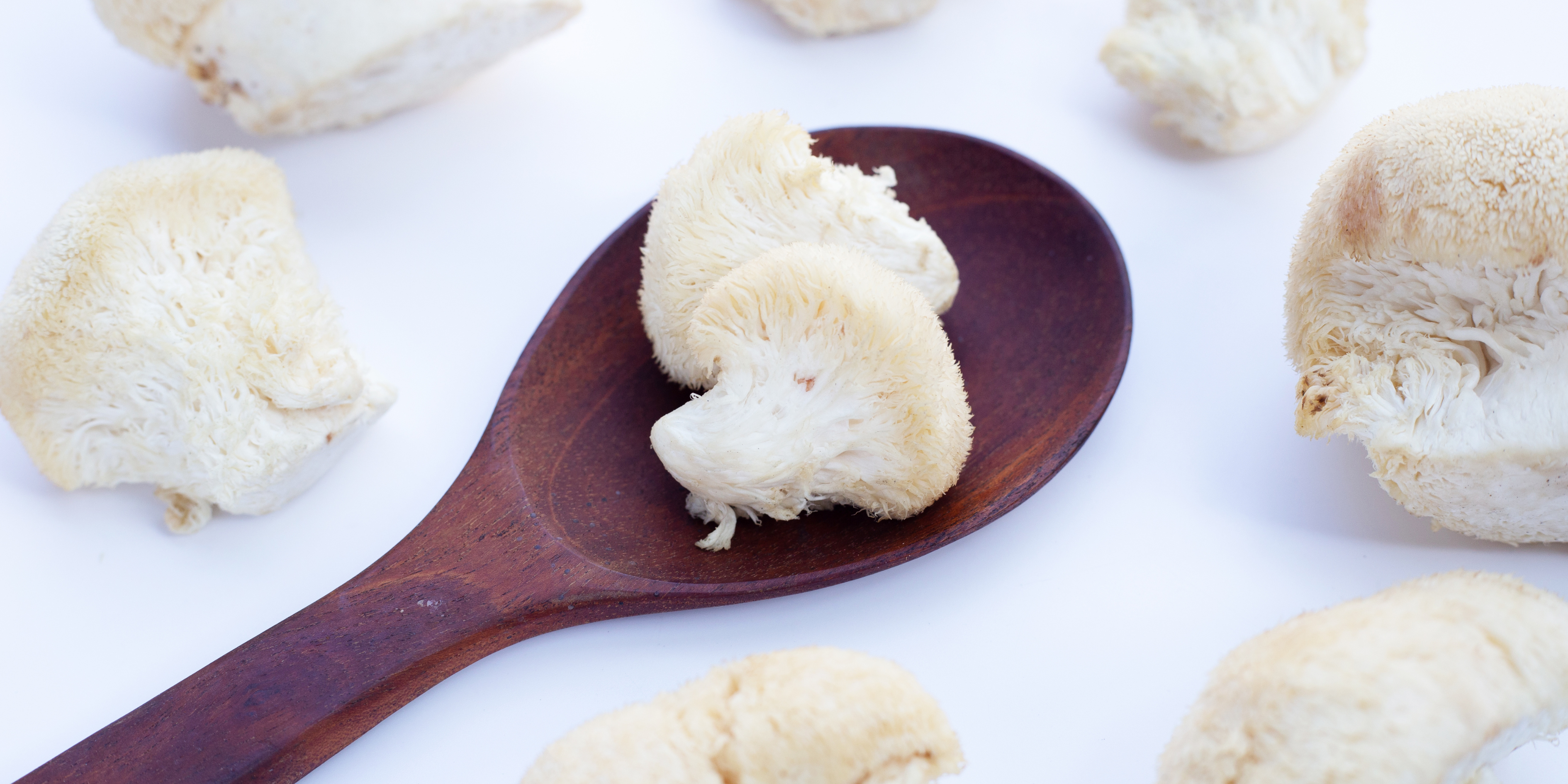 Lions Mane Mushroom on a wooden spoon