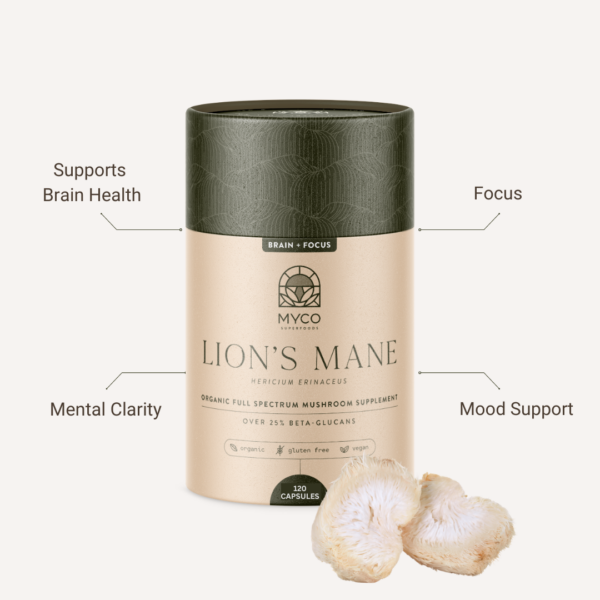 Lion's Mane with health benefits