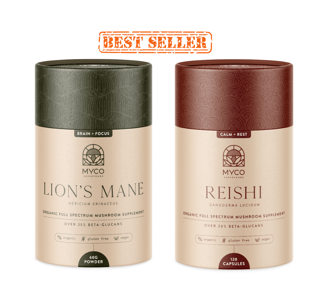 Lion's Mane and Reishi Mushroom Supplements